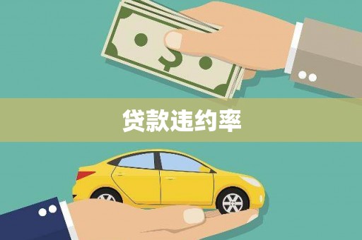 边坝贷款违约率
