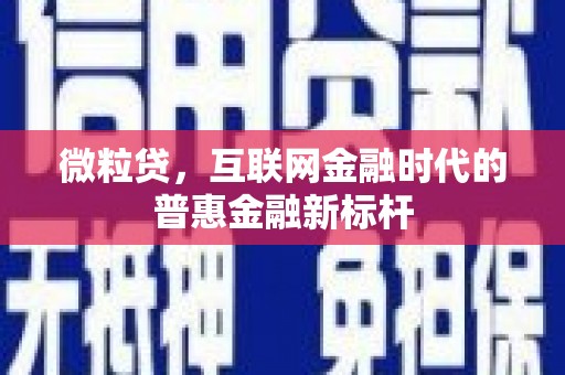 边坝微粒贷，互联网金融时代的普惠金融新标杆