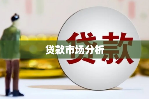 边坝贷款市场分析