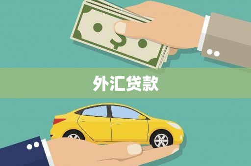 边坝外汇贷款