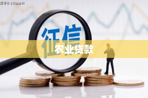 边坝农业贷款