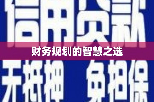 边坝财务规划的智慧之选