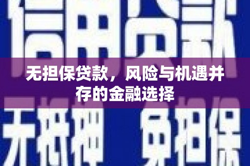 边坝无担保贷款，风险与机遇并存的金融选择