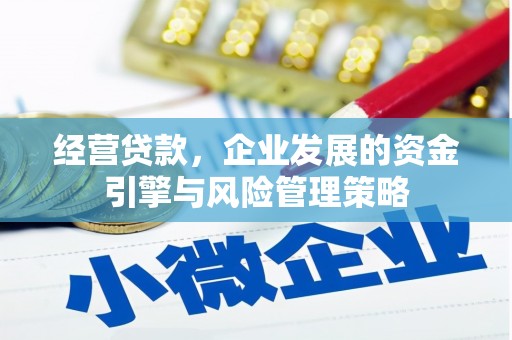 边坝经营贷款，企业发展的资金引擎与风险管理策略