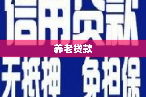 边坝养老贷款