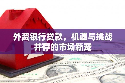 边坝外资银行贷款，机遇与挑战并存的市场新宠