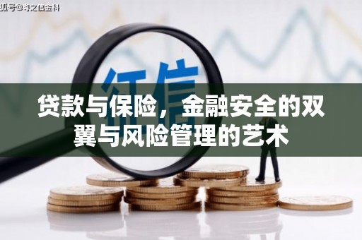 边坝贷款与保险，金融安全的双翼与风险管理的艺术