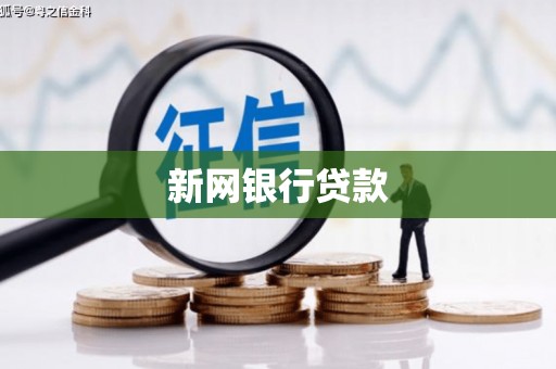 边坝新网银行贷款
