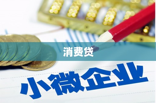 边坝消费贷
