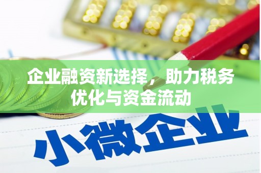边坝企业融资新选择，助力税务优化与资金流动