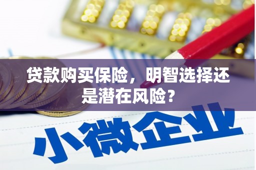 边坝贷款购买保险，明智选择还是潜在风险？