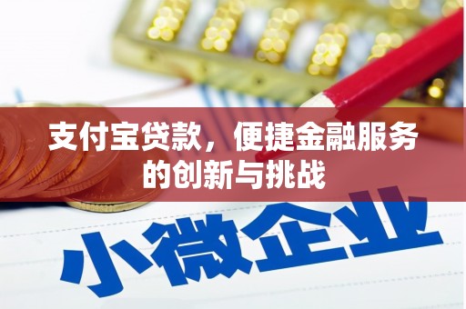 边坝支付宝贷款，便捷金融服务的创新与挑战