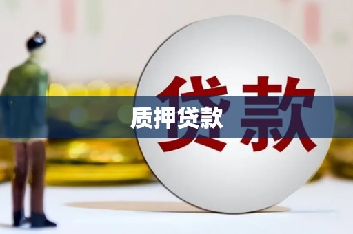边坝质押贷款