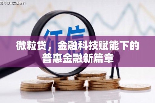 边坝微粒贷，金融科技赋能下的普惠金融新篇章
