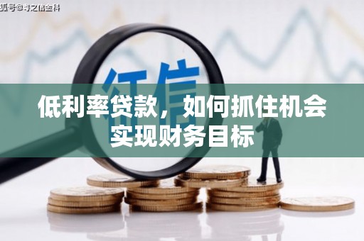 边坝低利率贷款，如何抓住机会实现财务目标