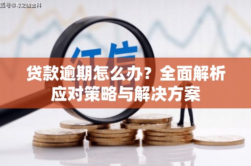 边坝贷款逾期怎么办？全面解析应对策略与解决方案