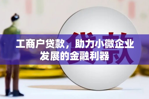 边坝工商户贷款，助力小微企业发展的金融利器