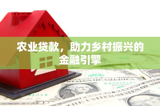 边坝农业贷款，助力乡村振兴的金融引擎
