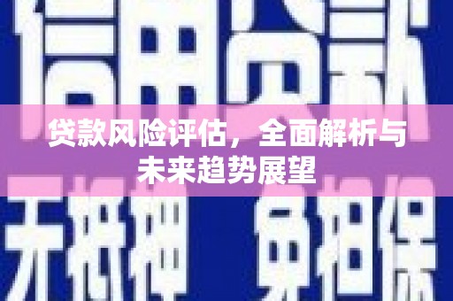 边坝贷款风险评估，全面解析与未来趋势展望