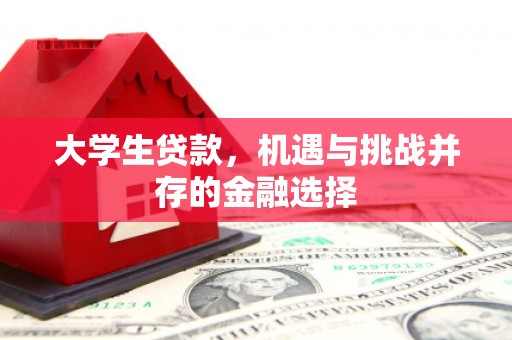 边坝大学生贷款，机遇与挑战并存的金融选择
