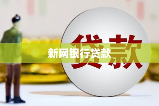 边坝新网银行贷款