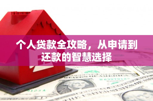 边坝个人贷款全攻略，从申请到还款的智慧选择