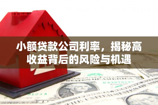 边坝小额贷款公司利率，揭秘高收益背后的风险与机遇