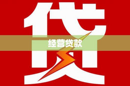 边坝经营贷款