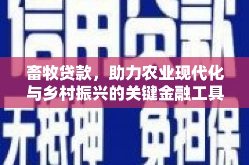 边坝畜牧贷款，助力农业现代化与乡村振兴的关键金融工具