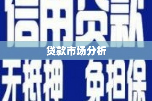 边坝贷款市场分析