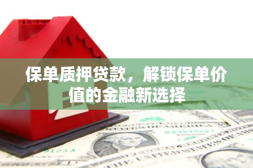 边坝保单质押贷款，解锁保单价值的金融新选择