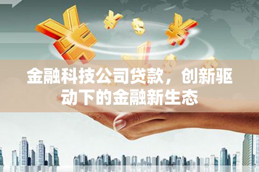 边坝金融科技公司贷款，创新驱动下的金融新生态