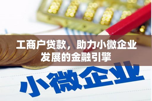 边坝工商户贷款，助力小微企业发展的金融引擎