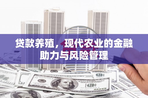 边坝贷款养殖，现代农业的金融助力与风险管理