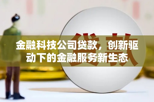 边坝金融科技公司贷款，创新驱动下的金融服务新生态