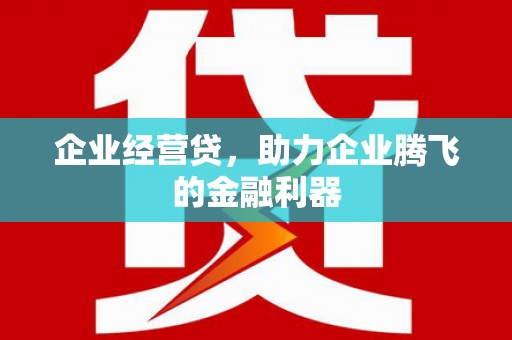 边坝企业经营贷，助力企业腾飞的金融利器