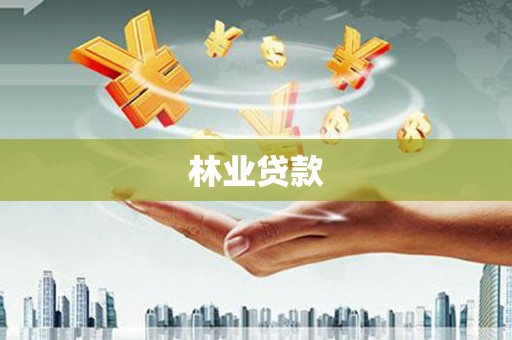 边坝林业贷款