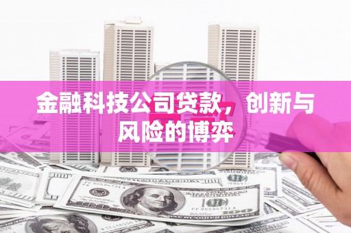 边坝金融科技公司贷款，创新与风险的博弈