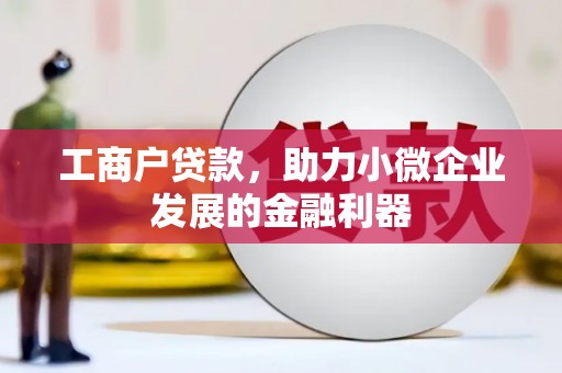 边坝工商户贷款，助力小微企业发展的金融利器
