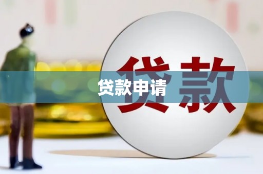 边坝贷款申请