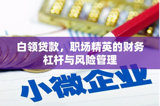 边坝白领贷款，职场精英的财务杠杆与风险管理