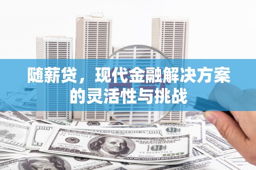 边坝随薪贷，现代金融解决方案的灵活性与挑战