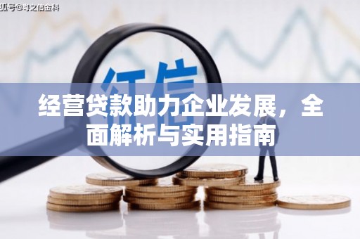 边坝经营贷款助力企业发展，全面解析与实用指南