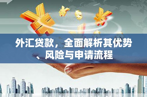 边坝外汇贷款，全面解析其优势、风险与申请流程