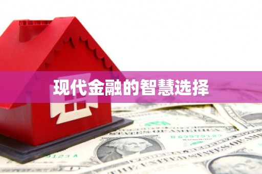 边坝现代金融的智慧选择