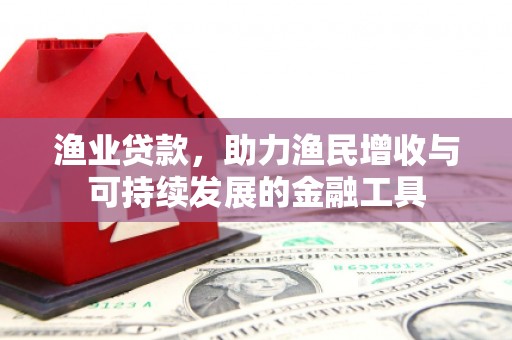 边坝渔业贷款，助力渔民增收与可持续发展的金融工具