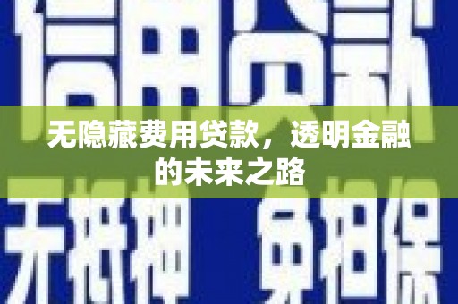 边坝无隐藏费用贷款，透明金融的未来之路