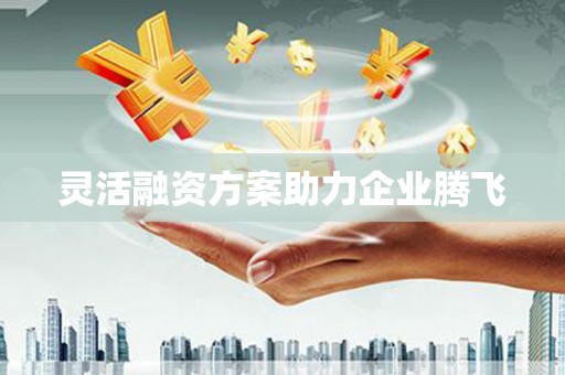 边坝灵活融资方案助力企业腾飞