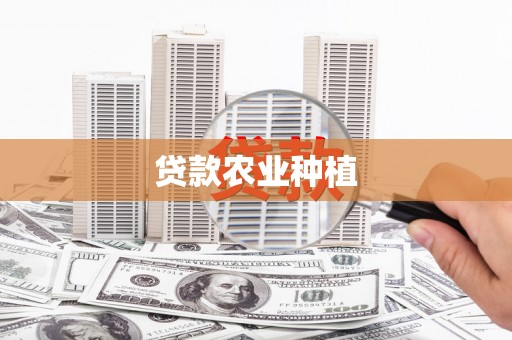 边坝贷款农业种植