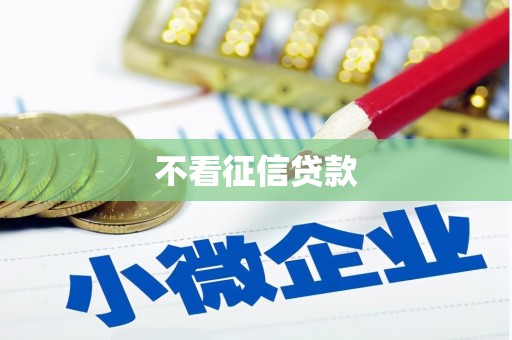 边坝不看征信贷款